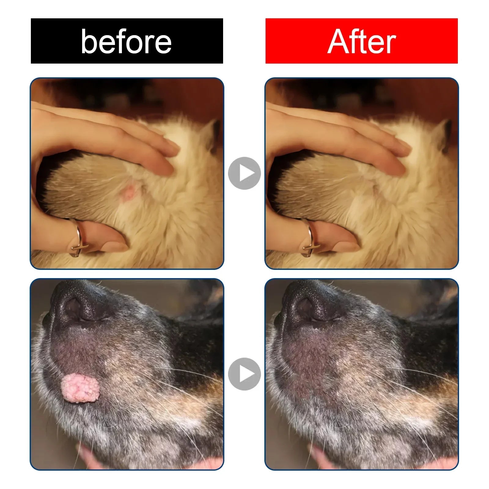 Pet Warts Remover Liquid Dogs Skin Care Cats Corns Papilloma No Irritation Remedy Fast Eliminate Moles Warts Pet Skin Treatment