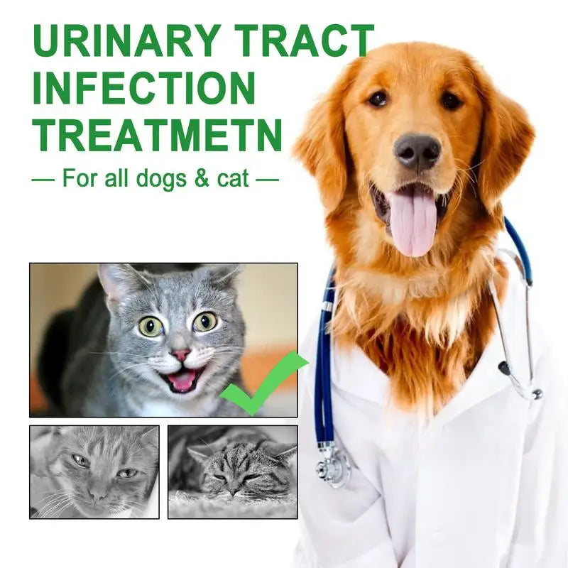 Pet UTI Treatment 60ml Powerful Cat Bladder Drops For Urinary Tract Care Multifunction Cranberry Dog Cat UTI Treatment Supplies